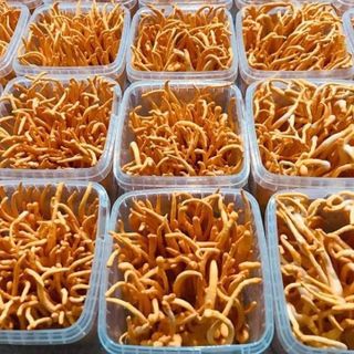 (Hà Nội) Bán sỉ Nấm Đông Trùng Hạ Thảo