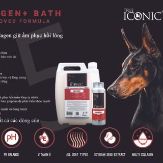 Dầu tắm Collagen Plus+ ( 4.54 lít ) TRUE ICONIC