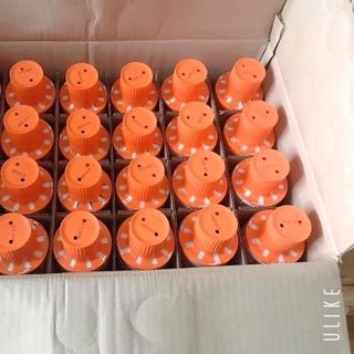 Chai thả bồn cầu Toilet Joeunmiso hương ngàn hoa 180g