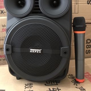 LOA KÉO A8-10 TEMEISHENG 3 TẤC 1 MIC