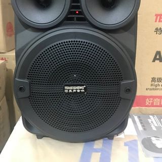 LOA KÉO A8-10 TEMEISHENG 3 TẤC 1 MIC