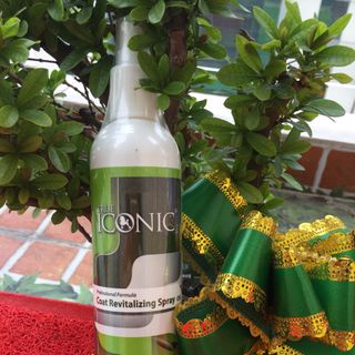 Xịt dưỡng lông ( 300ml ) TRUE ICONIC