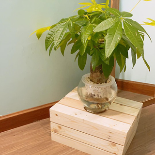 Áo thun / áo có cổ dành cho nam và nữ / áo thun nam / áo thun nữ / áo phông