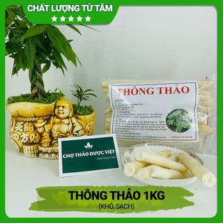 Thông Thảo Khô Đẹp giá sỉ