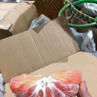Bưởi da xanh