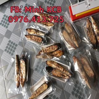 Xả kho máy hút chân không DZ 300B
