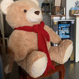 Gấu bông cao cấp