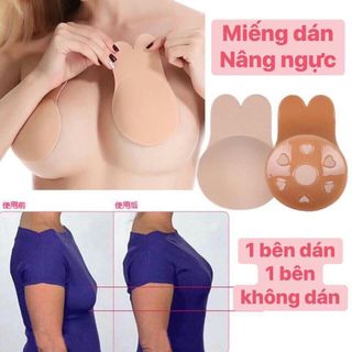 Dán ti thỏ về