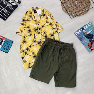 ÁO SƠ MI CÂY DỪA CỔ VÊST