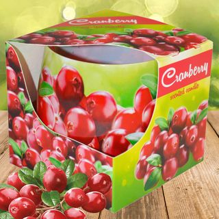 Ly nến thơm tinh dầu Admit Cranberry 100g QT04535 - nam việt quất giá sỉ