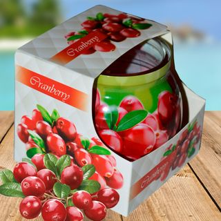 Ly nến thơm tinh dầu Admit Cranberry 85g QT01880 - nam việt quất giá sỉ