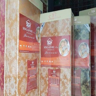Đệm bông ép Singapore