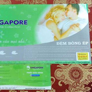 Đệm bông ép Singapore