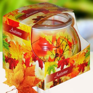 Ly nến thơm tinh dầu Admit Autumn 85g QT06344 - lá phong đỏ giá sỉ