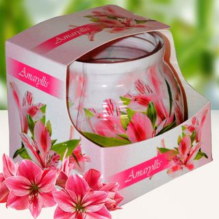 Ly nến thơm tinh dầu Admit Amarylis 85g QT04536 - hoa thủy tiên giá sỉ