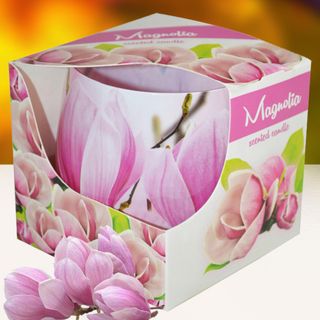 Ly nến thơm tinh dầu Admit Magnolia 100g QT026979 - hoa mộc lan giá sỉ