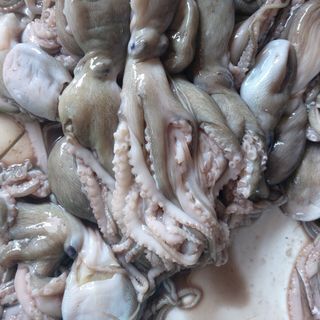 Bạch tuộc tươi 100g
