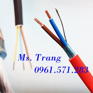 Cáp chống cháy 2x1.0 có chống nhiễu giá tốt