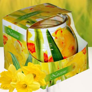 Ly nến thơm tinh dầu Admit Narcissus 85g QT01882 - thủy tiên vàng giá sỉ