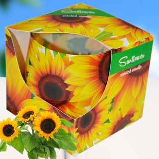 Ly nến thơm tinh dầu Admit Sunflower 100g QT026987 - hoa hướng dương giá sỉ