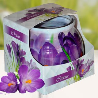 Ly nến thơm tinh dầu Admit Crocus 85g QT01892 - hoa nghệ tây giá sỉ