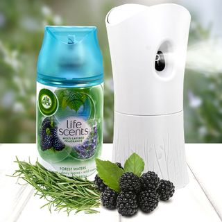 Bộ phun tinh dầu tự động Air Wick Forest Water 250ml QT07388 - hoa hương thảo giá sỉ