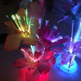 Chậu hoa led đổi màu trang trí cực đẹp