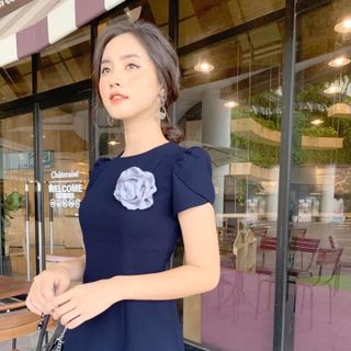 Đầm công sở dạo phố tay búp sen dáng xòe