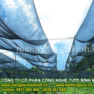 Cung cấp lưới che nắng thái lan, lưới che nắng nhà kính