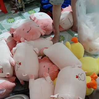 Gấu bông heo hí kèm mền