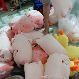 Gấu bông heo hí kèm mền