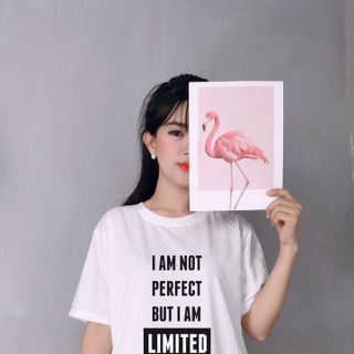 trùm áo thun nam nữ dễ bán giá rẻ từ 2x sll
