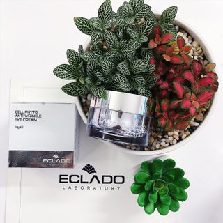 KEM DƯỠNG TÁI SINH VÙNG MẮT – CELL PHYTO ANTI WRINKLE EYE CREAM giá sỉ