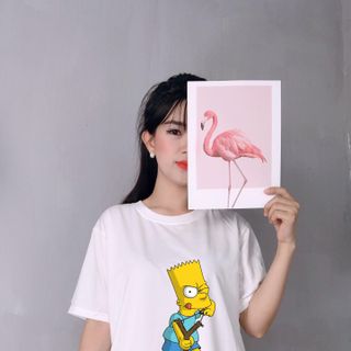 áo thun đàm thun dê bán sỉ rẻ dễ ra đơn