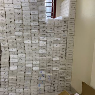Ốp lưng silicon trong iPhone