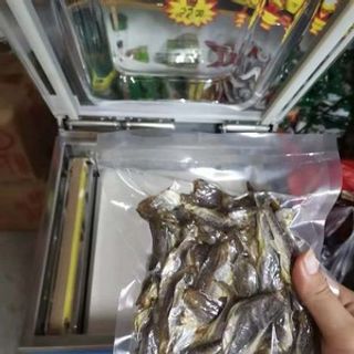 Máy hút chân không DZB 400