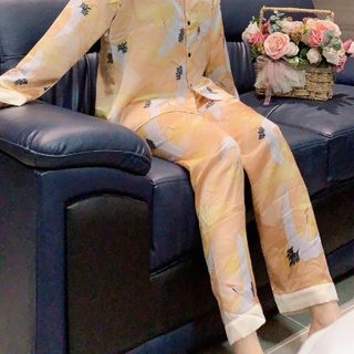 SÉT BỘ CHIM HẠT CAO CẤP