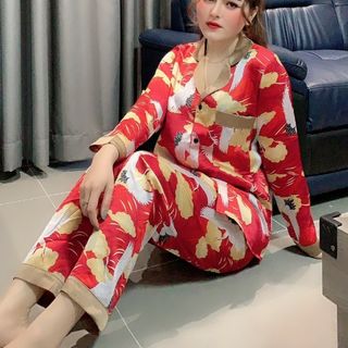SÉT BỘ CHIM HẠT CAO CẤP
