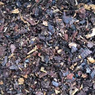 Chất trồng dành cho Kiếm và Giả hạc, Phi điệp