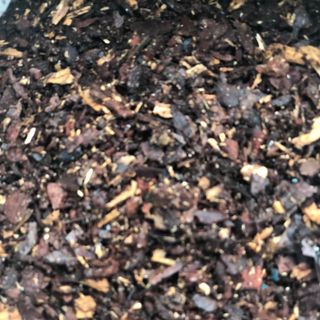 Chất trồng dành cho Kiếm và Giả hạc, Phi điệp