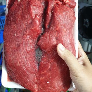 Thịt nai (thăn nai/fillet)