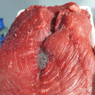 Thịt nai (thăn nai/fillet)