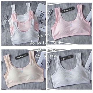 Bra móc hs về tiếp sll
Sỉ (TT)