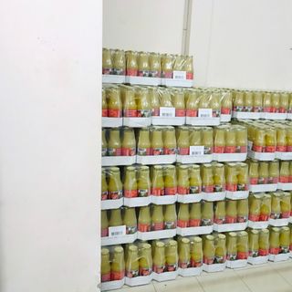 Nước Ép Táo Joly Red Hà Lan