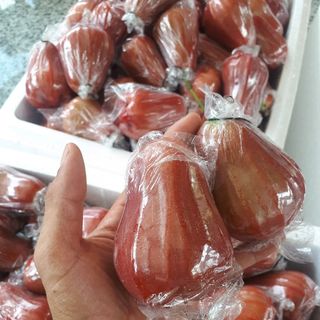 mận đỏ roi đỏ