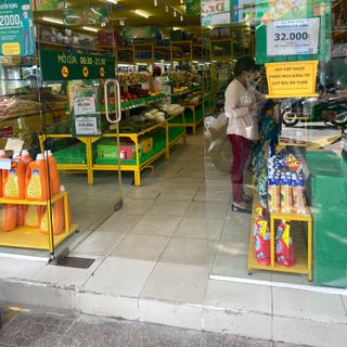 Chuối Giá Sỉ - Bán Sỉ Chuối Cavendish Nam Mỹ