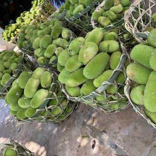 Mít Tố Nữ Chín Thơm Cơm Vàng Nhiều Múi