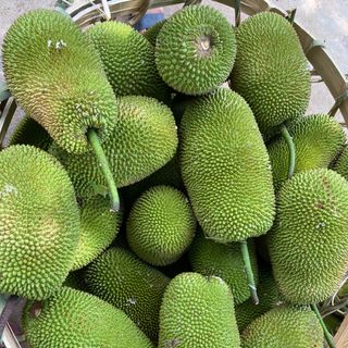 Mít Tố Nữ Chín Thơm Cơm Vàng Nhiều Múi