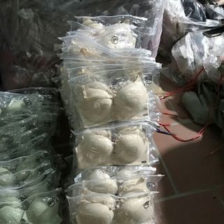 PA Su Pháp ve nhiều si nhe