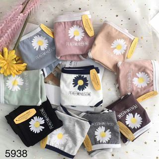 PA
Cotton hoa cúc hót hót